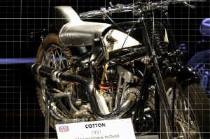 COTTON